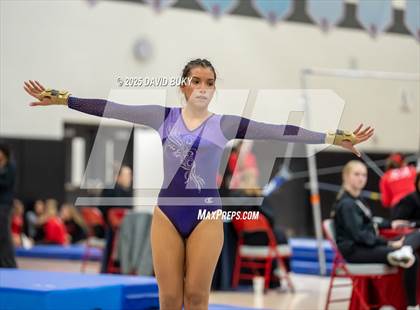 Thumbnail 3 in Gainesville Invitational (Floor Exercise) photogallery.