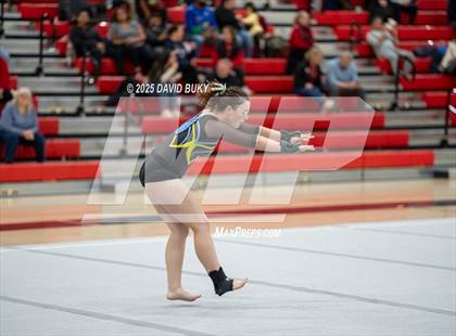 Thumbnail 3 in Gainesville Invitational (Floor Exercise) photogallery.