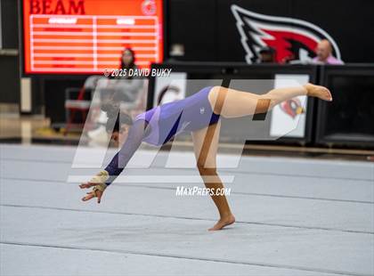 Thumbnail 3 in Gainesville Invitational (Floor Exercise) photogallery.
