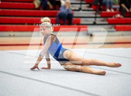 Thumbnail 3 in Gainesville Invitational (Floor Exercise) photogallery.