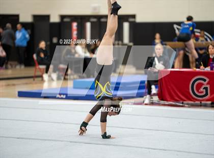Thumbnail 1 in Gainesville Invitational (Floor Exercise) photogallery.