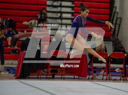 Thumbnail 3 in Gainesville Invitational (Floor Exercise) photogallery.
