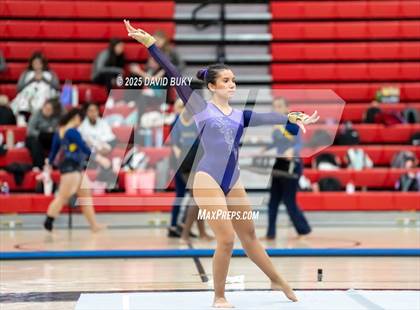 Thumbnail 1 in Gainesville Invitational (Floor Exercise) photogallery.