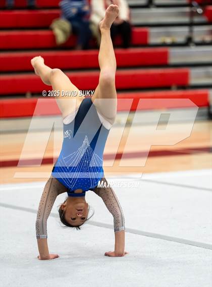 Thumbnail 3 in Gainesville Invitational (Floor Exercise) photogallery.