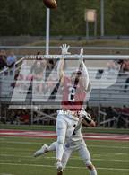 Photo from the gallery "Logan @ Newark"