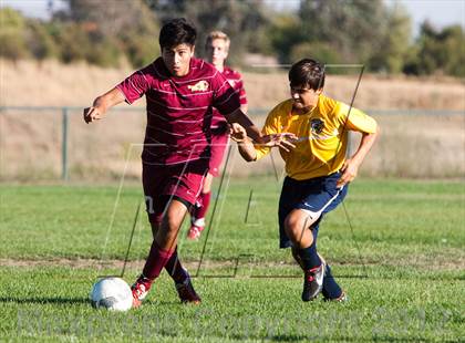 Thumbnail 1 in McClatchy @ Rosemont photogallery.