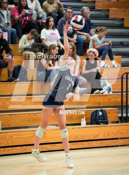 Thumbnail 2 in FR: Chatfield @ Columbine photogallery.