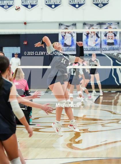 Thumbnail 2 in FR: Chatfield @ Columbine photogallery.