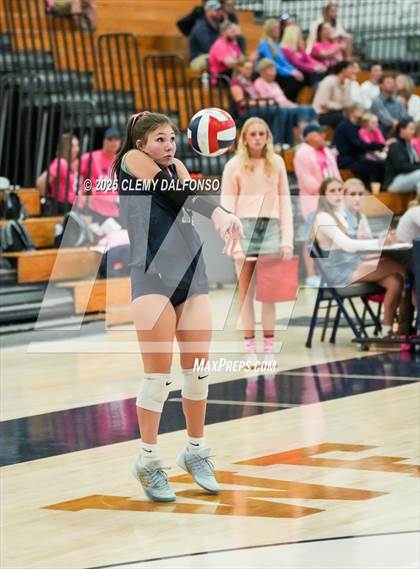 Thumbnail 2 in FR: Chatfield @ Columbine photogallery.