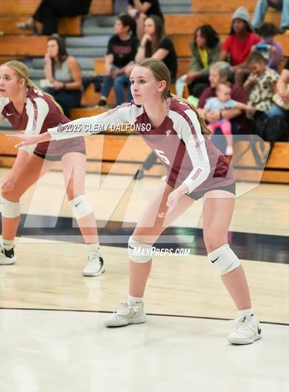 Thumbnail 2 in FR: Chatfield @ Columbine photogallery.