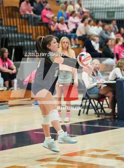 Thumbnail 3 in FR: Chatfield @ Columbine photogallery.