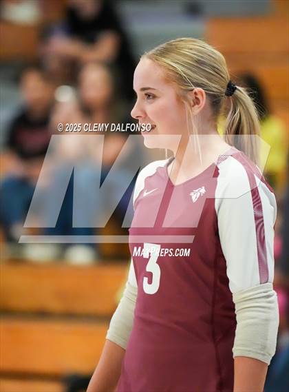 Thumbnail 3 in FR: Chatfield @ Columbine photogallery.