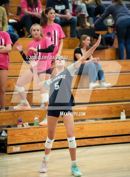 Thumbnail 2 in FR: Chatfield @ Columbine photogallery.