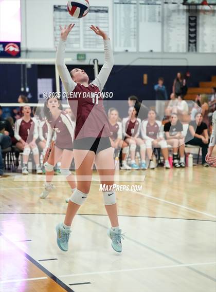 Thumbnail 1 in FR: Chatfield @ Columbine photogallery.