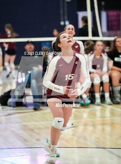 Thumbnail 3 in FR: Chatfield @ Columbine photogallery.