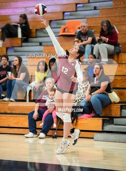 Thumbnail 3 in FR: Chatfield @ Columbine photogallery.