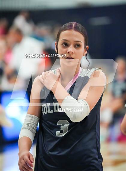 Thumbnail 3 in FR: Chatfield @ Columbine photogallery.