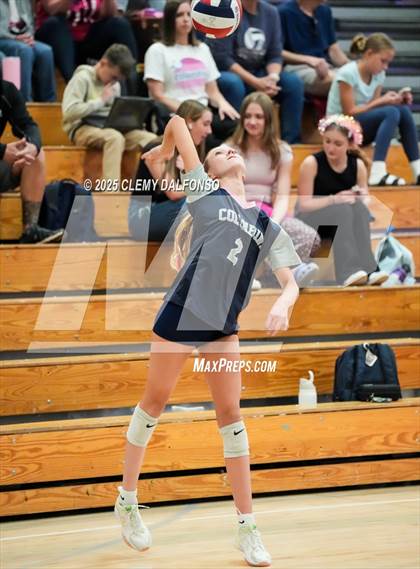 Thumbnail 1 in FR: Chatfield @ Columbine photogallery.