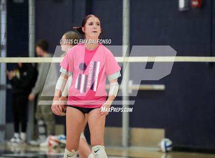 Thumbnail 3 in FR: Chatfield @ Columbine photogallery.