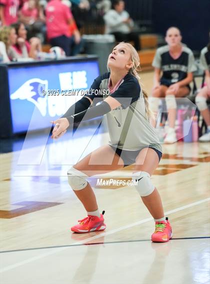 Thumbnail 1 in FR: Chatfield @ Columbine photogallery.