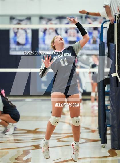 Thumbnail 1 in FR: Chatfield @ Columbine photogallery.