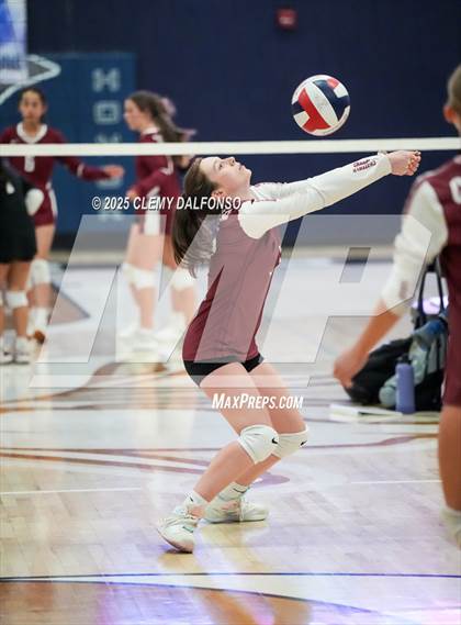 Thumbnail 1 in FR: Chatfield @ Columbine photogallery.