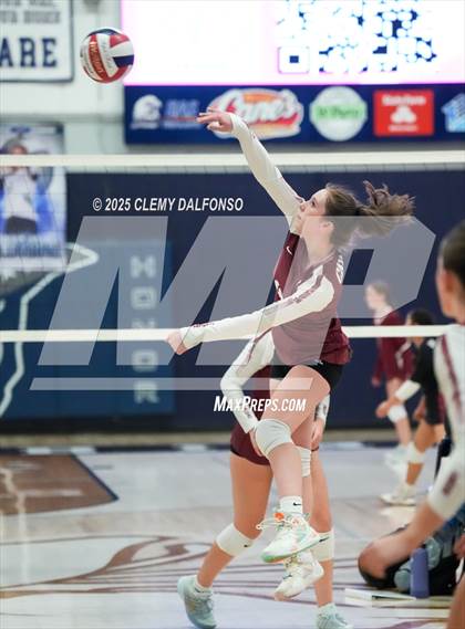 Thumbnail 2 in FR: Chatfield @ Columbine photogallery.