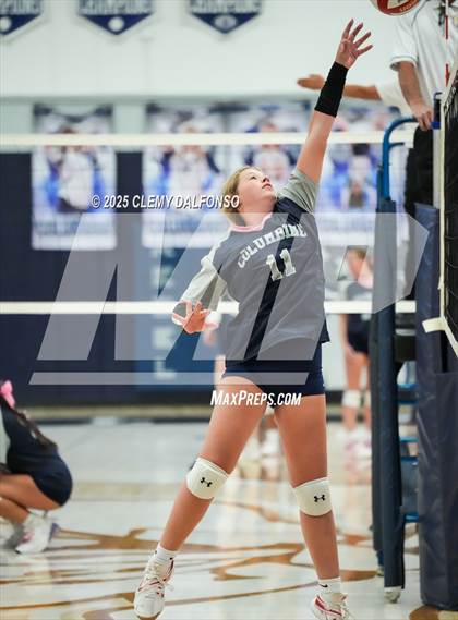 Thumbnail 3 in FR: Chatfield @ Columbine photogallery.