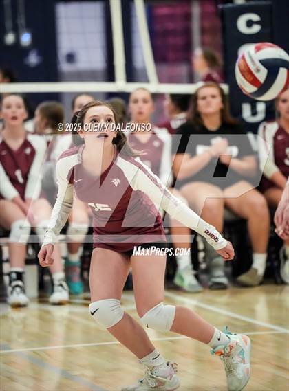 Thumbnail 2 in FR: Chatfield @ Columbine photogallery.