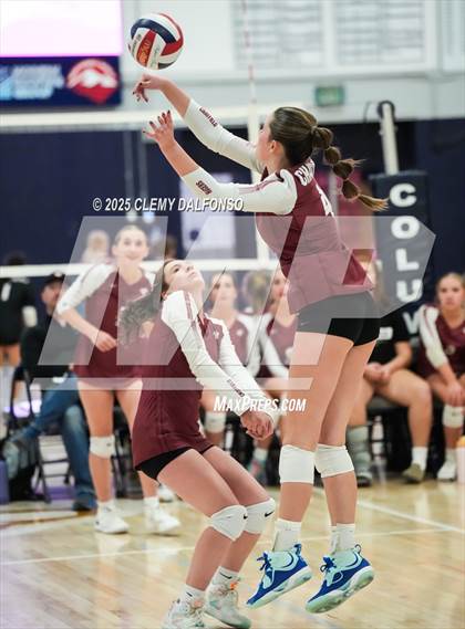 Thumbnail 3 in FR: Chatfield @ Columbine photogallery.