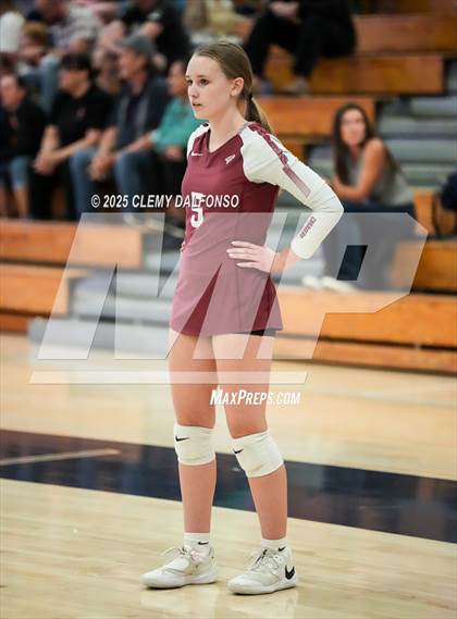 Thumbnail 3 in FR: Chatfield @ Columbine photogallery.