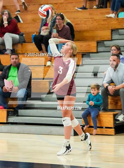 Thumbnail 2 in FR: Chatfield @ Columbine photogallery.