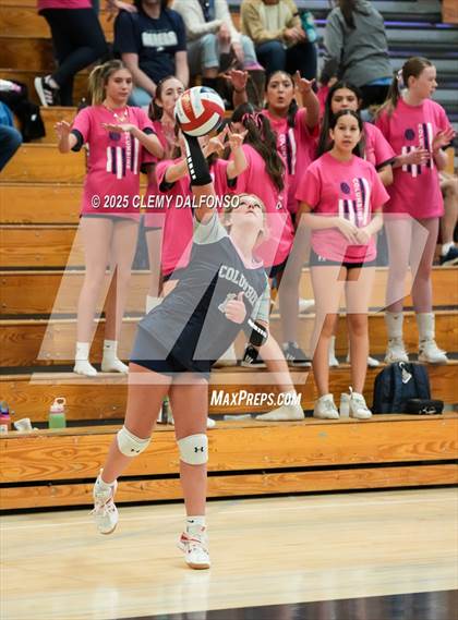 Thumbnail 3 in FR: Chatfield @ Columbine photogallery.