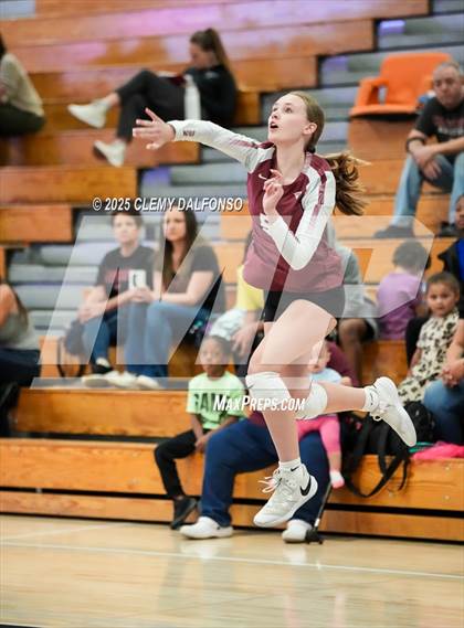 Thumbnail 3 in FR: Chatfield @ Columbine photogallery.