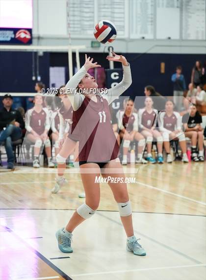 Thumbnail 3 in FR: Chatfield @ Columbine photogallery.