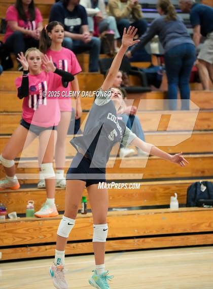 Thumbnail 1 in FR: Chatfield @ Columbine photogallery.