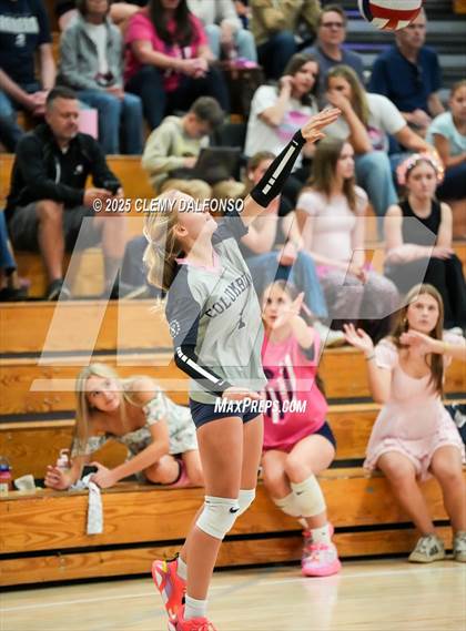 Thumbnail 2 in FR: Chatfield @ Columbine photogallery.