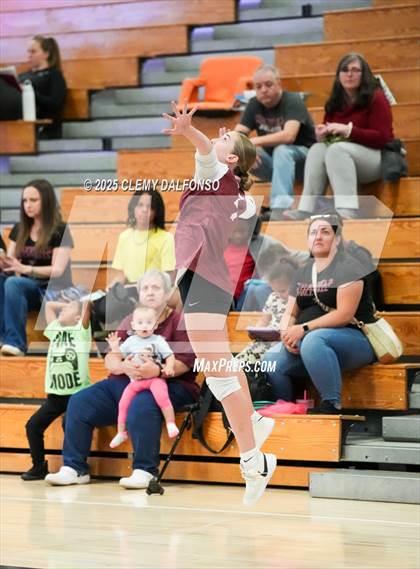 Thumbnail 2 in FR: Chatfield @ Columbine photogallery.