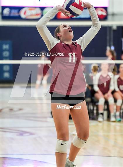 Thumbnail 1 in FR: Chatfield @ Columbine photogallery.