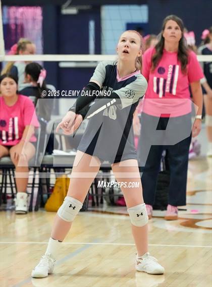 Thumbnail 2 in FR: Chatfield @ Columbine photogallery.