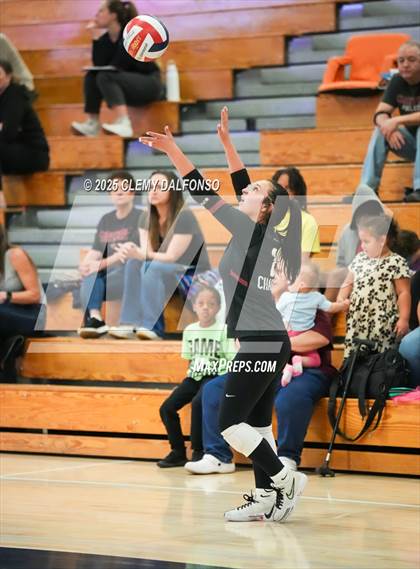 Thumbnail 2 in FR: Chatfield @ Columbine photogallery.