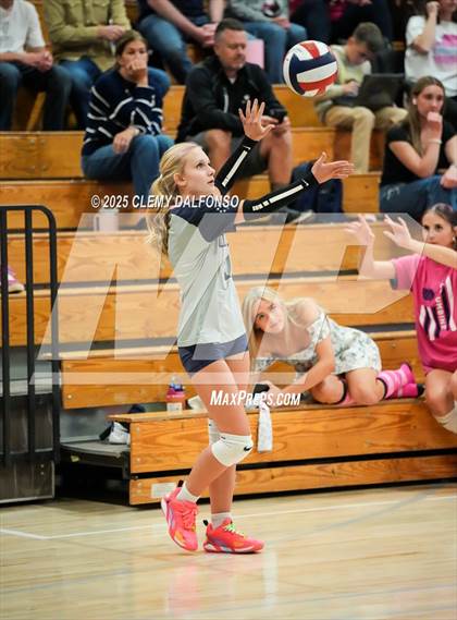 Thumbnail 2 in FR: Chatfield @ Columbine photogallery.