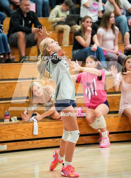 Thumbnail 3 in FR: Chatfield @ Columbine photogallery.