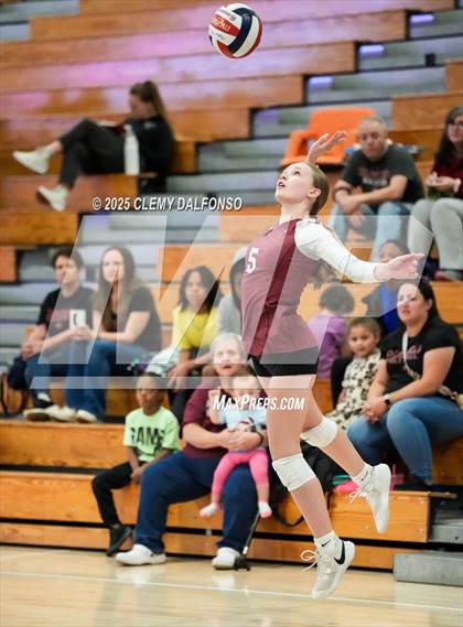 Thumbnail 3 in FR: Chatfield @ Columbine photogallery.