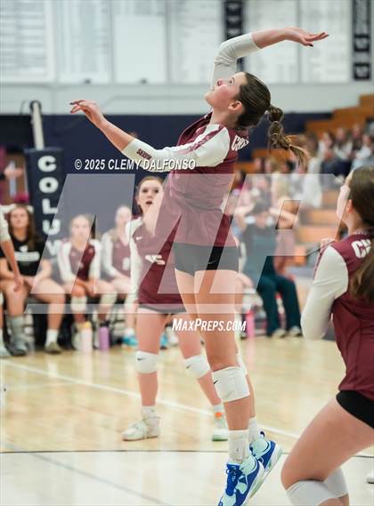 Thumbnail 1 in FR: Chatfield @ Columbine photogallery.