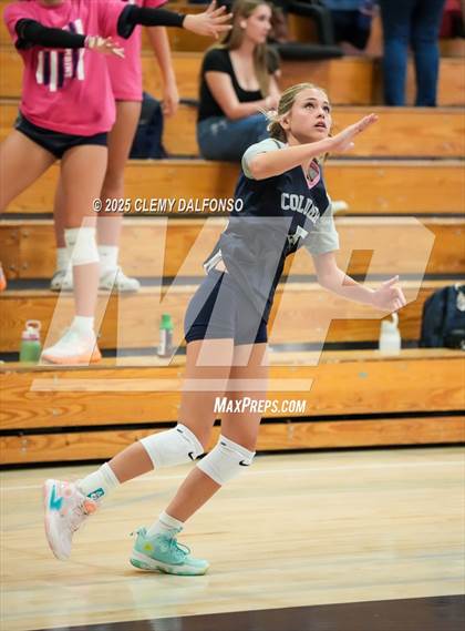 Thumbnail 2 in FR: Chatfield @ Columbine photogallery.