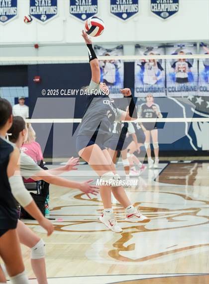 Thumbnail 3 in FR: Chatfield @ Columbine photogallery.