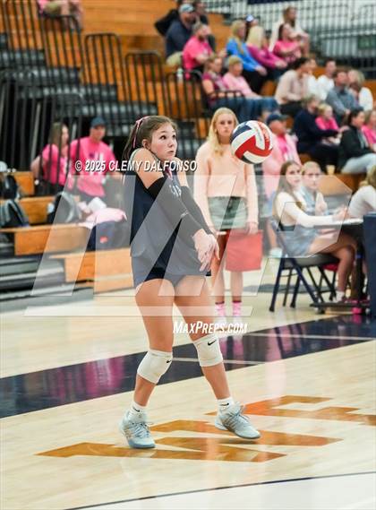 Thumbnail 1 in FR: Chatfield @ Columbine photogallery.