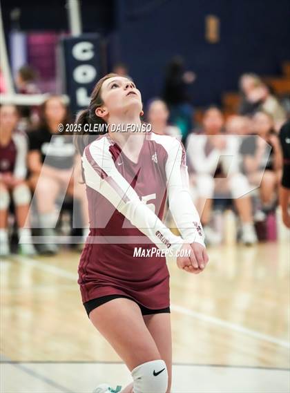 Thumbnail 2 in FR: Chatfield @ Columbine photogallery.