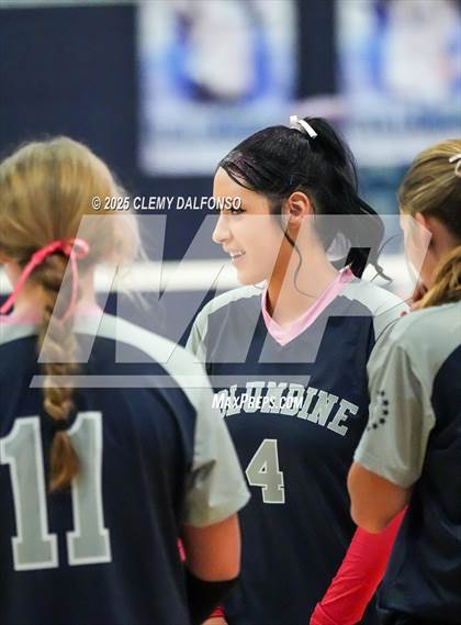 Thumbnail 2 in FR: Chatfield @ Columbine photogallery.